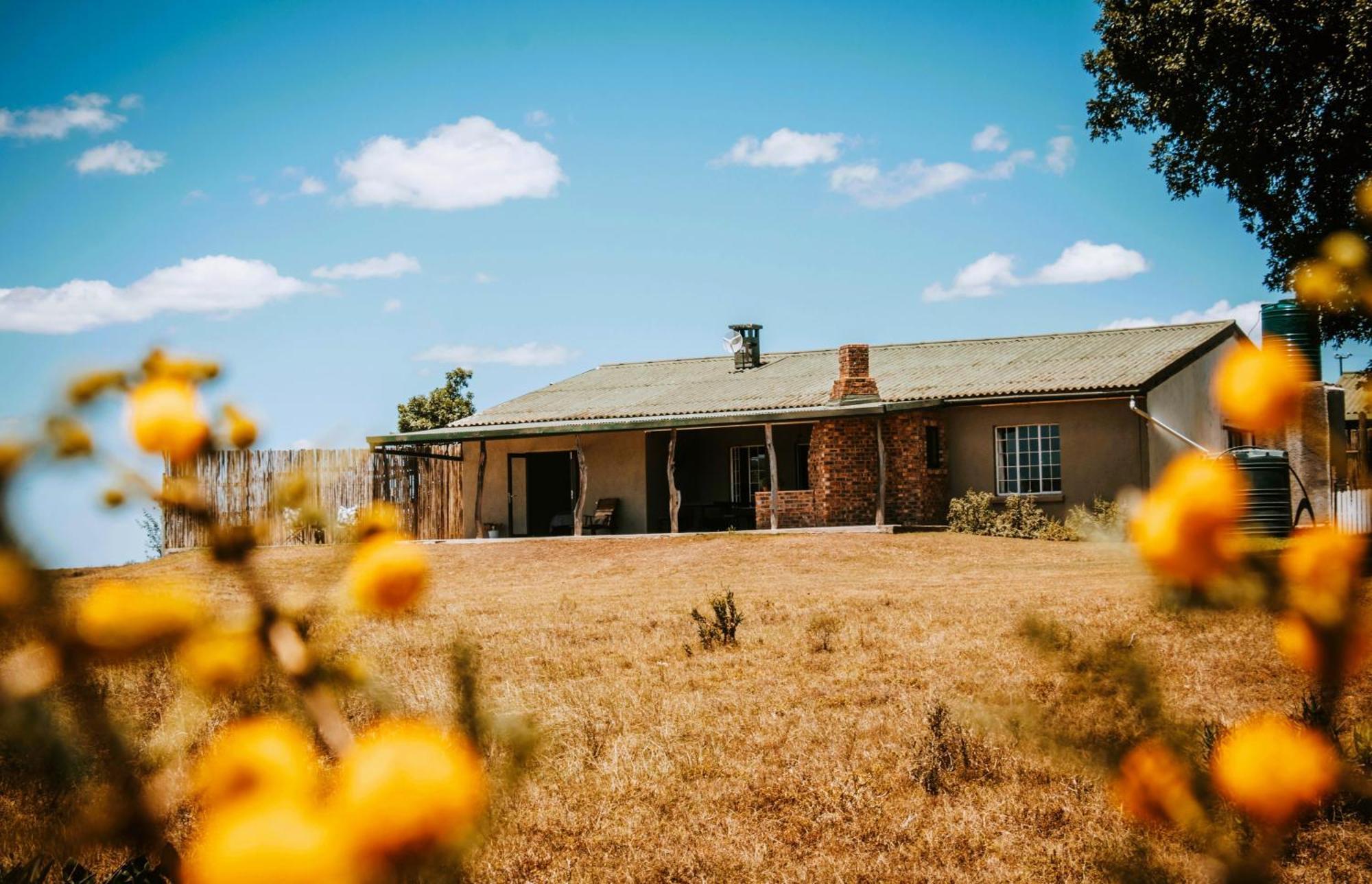 The Ranch House At African Safari Lodge Grahamstown Bagian luar foto