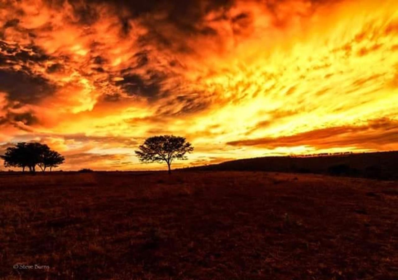 The Ranch House At African Safari Lodge Grahamstown Bagian luar foto